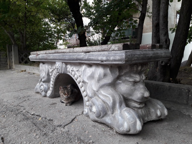 Скамейка на Городском холме