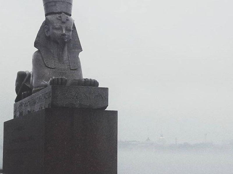 Сфинксы  