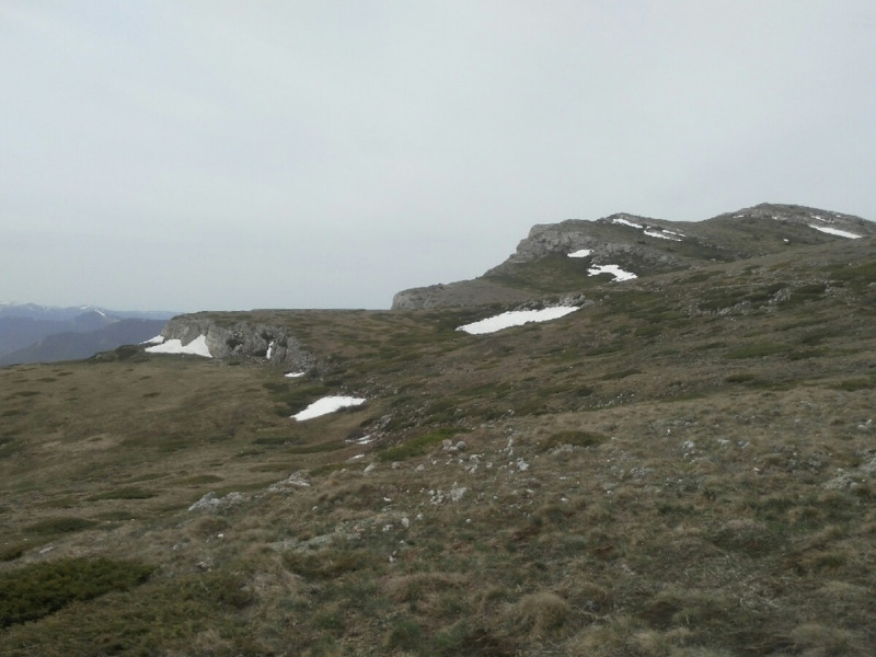 Панорама