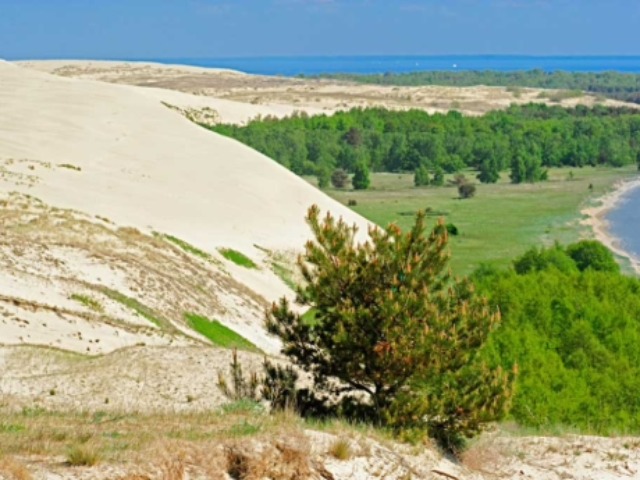 Куршская коса — фото 3
