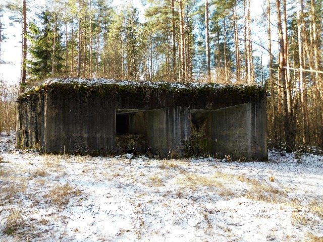 Индивидуальная экскурсия из Пскова к бункерам «Линии Сталина» — фото 2