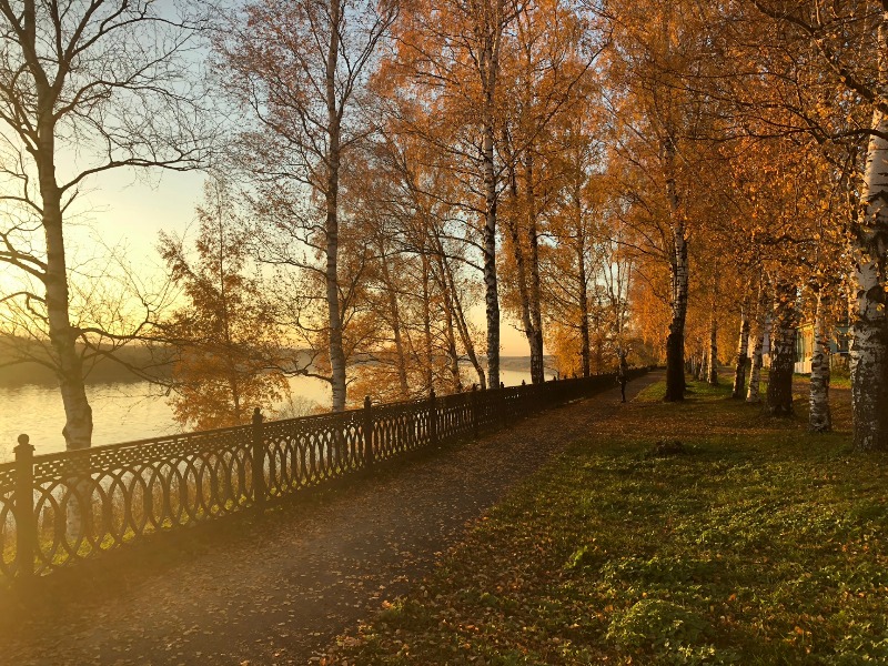 Осень на Кустодиевском бульваре