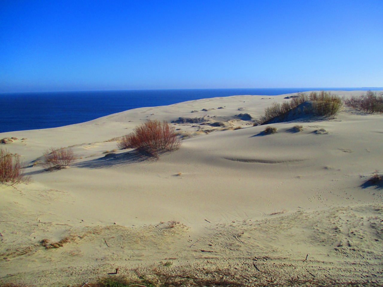 Экскурсия на Куршскую косу — драгоценность Янтарного края - индивидуальная экскурсия в Калининграде на машине гида длительностью 5 часов с количеством участников до 4 человек цена экскурсии 14500₽