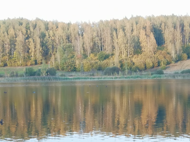 Городищенское озеро в Изборске