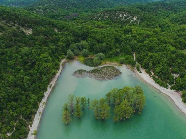 Индивидуальная экскурсия из Анапы «Заповедный Утриш» — фото 3