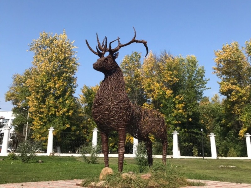 Символ города - благородный олень  
