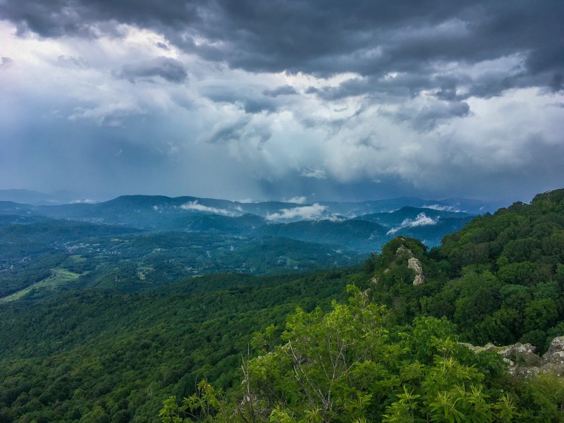 Панорамы