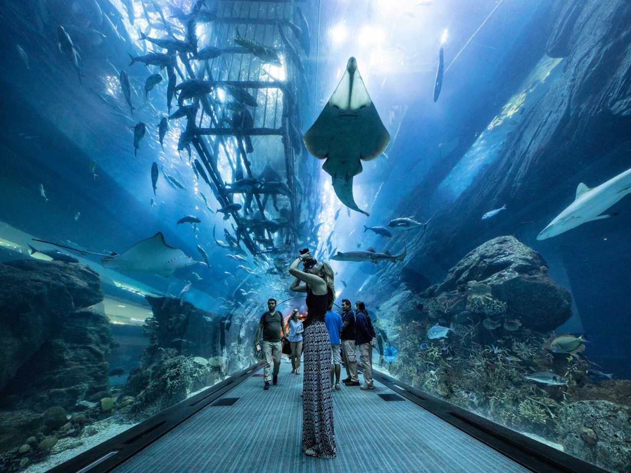 Океанариум в Dubai Mall  | Цена 225$, отзывы, описание экскурсии