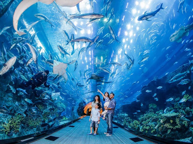 Индивидуальная экскурсия в Океанариум Dubai Mall в Дубае — фото 2