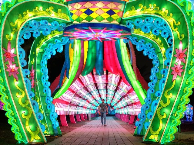 Обзорная экскурсия в светящийся парк Garden Glow Park в Дубае — фото 3