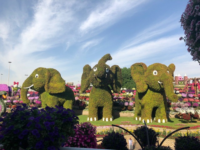 Индивидуальная экскурсия в Miracle Garden Park — парк цветов — фото 2