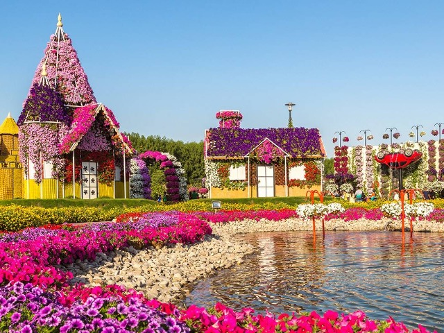 Индивидуальная экскурсия в Miracle Garden Park — парк цветов — фото 3