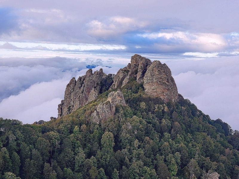 Гора