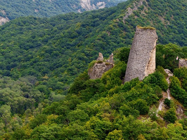 Индивидуальная экскурсия из Тбилиси по Кахетии с кахетинцем — фото 3