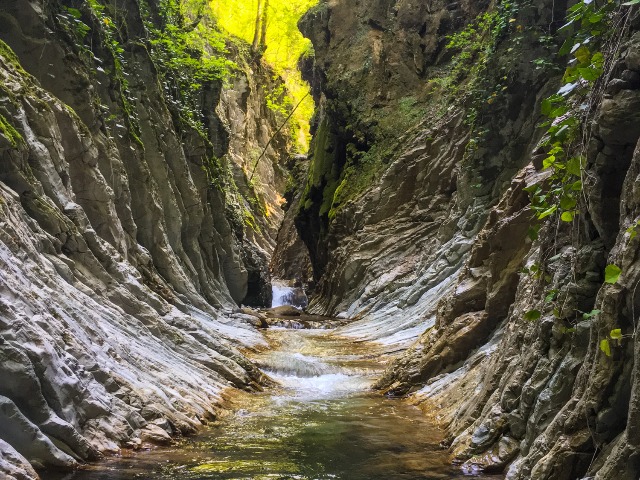 Индивидуальная экскурсия из Лазаревского в Мамедово ущелье — фото 2