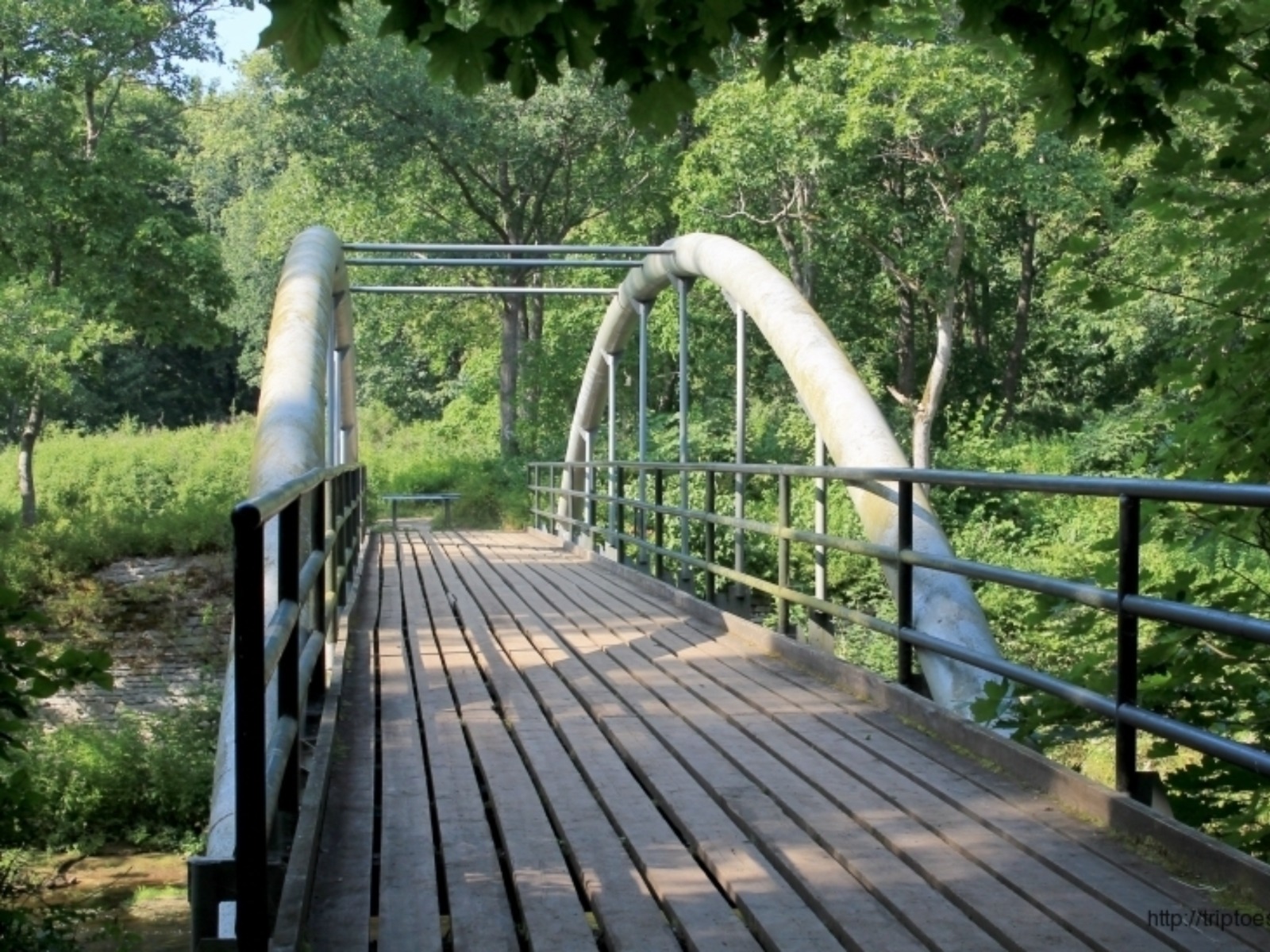 Современный мост в парке 
