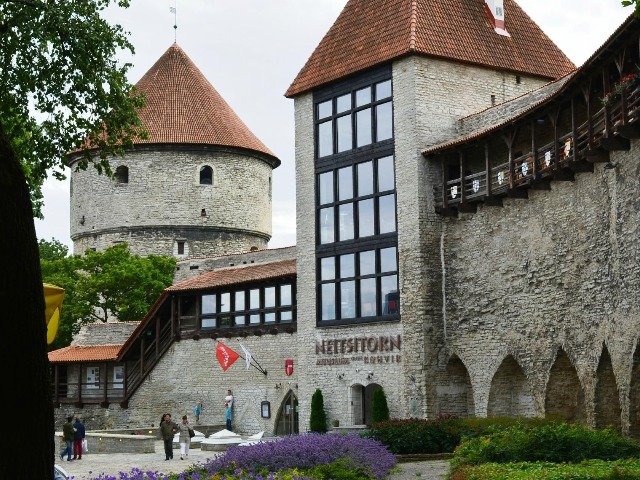 Индивидуальная экскурсия в Таллине: прошлое Старого города — фото 3