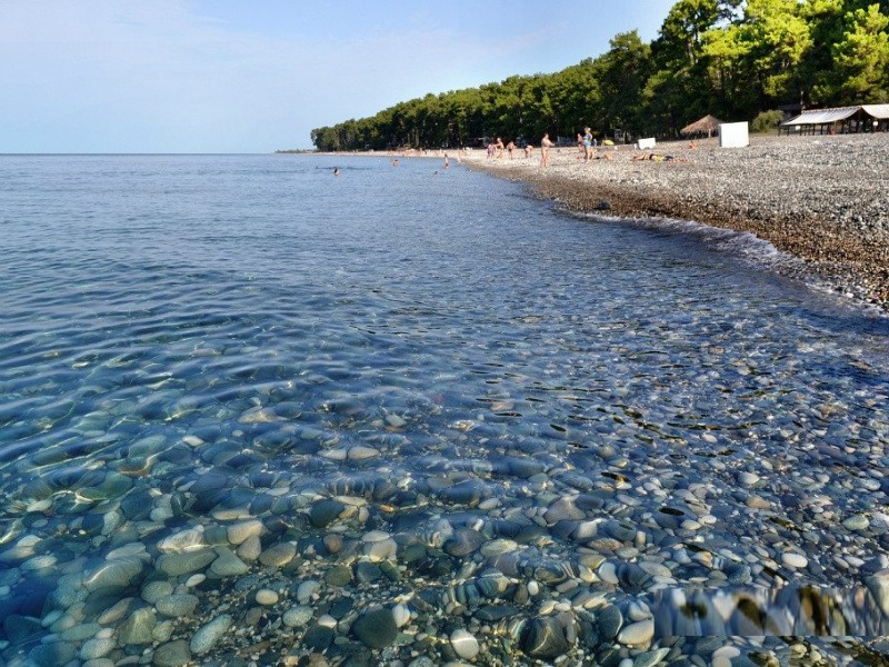 Чистейшее море в Пицунде guidego.ru