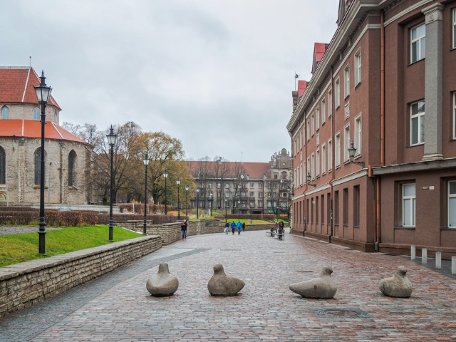 Экскурсия в Таллине: Старые добрые (и не очень добрые!) легенды — фото 3