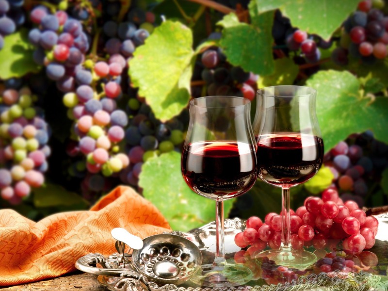 Экскурсия из Жироны в Каталонию: ведьмы, вина и обед в порту - индивидуальная экскурсия в Жироне на машине гида длительностью 6 часов с количеством участников до 4 человек цена экскурсии 375€