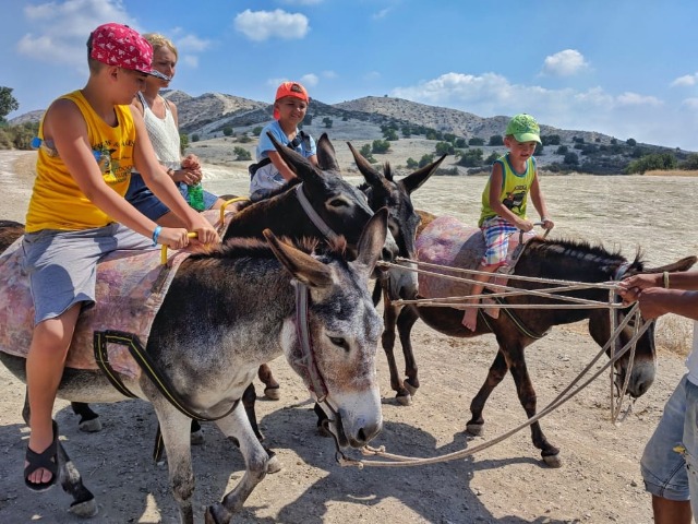 Детская экскурсия на Кипре «В мире животных» — фото 2