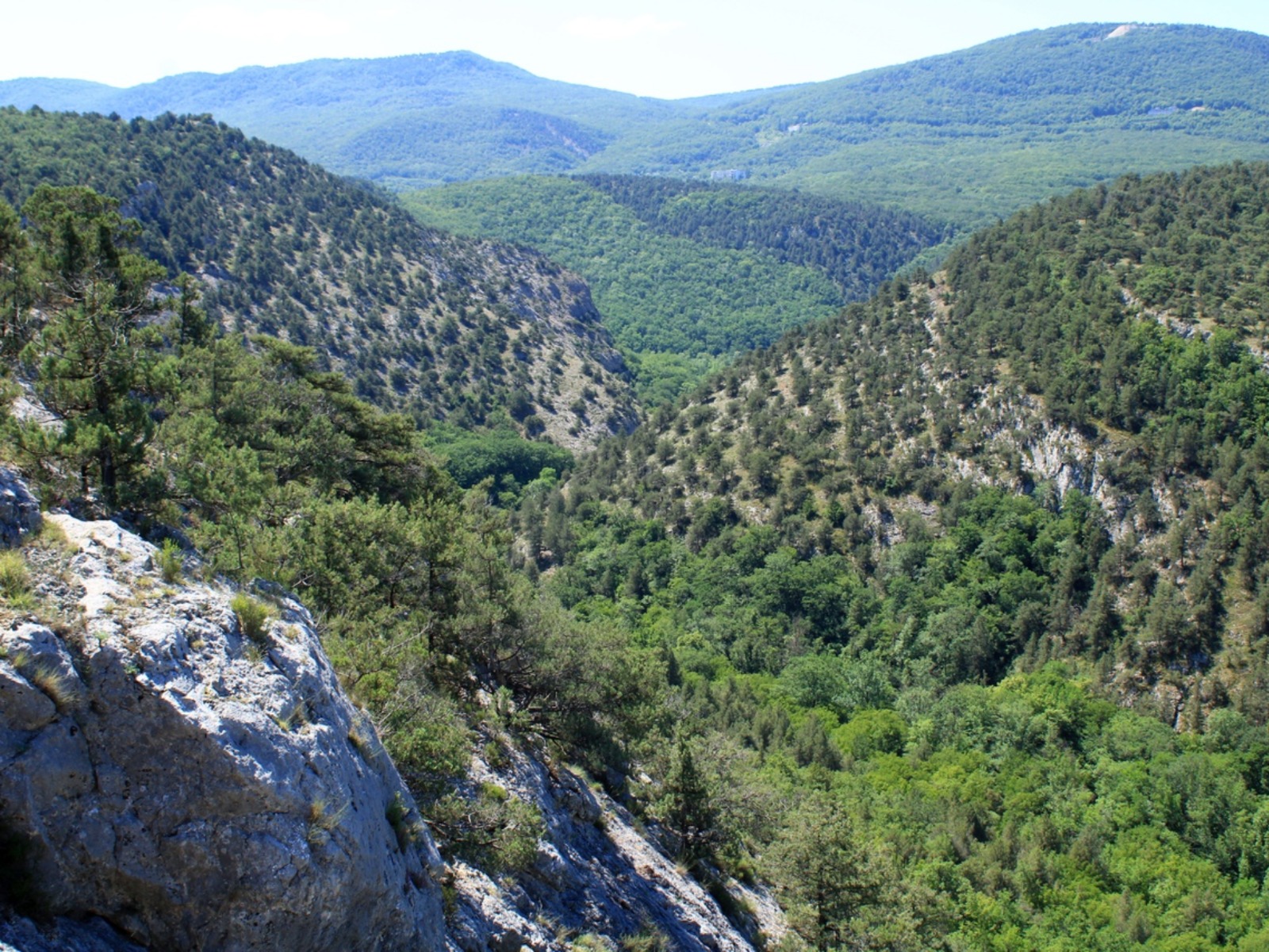 Величие гордых скал в Чернореченском каньоне 