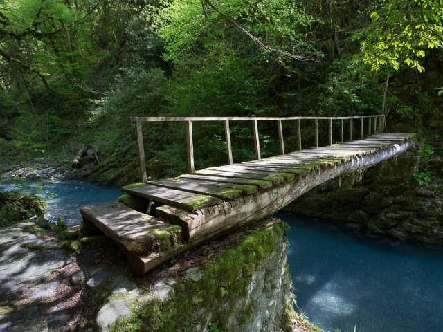 Прогулка к прохладным водопадам в колхидском лесу — фото 3
