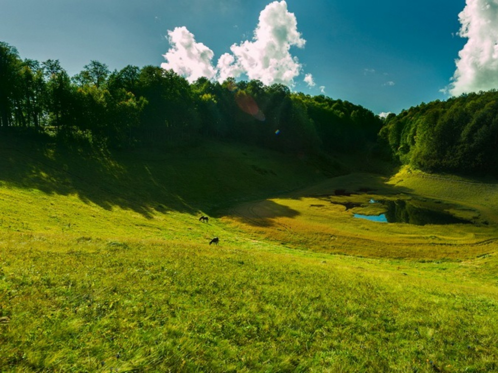 На Хмелевских озерах  