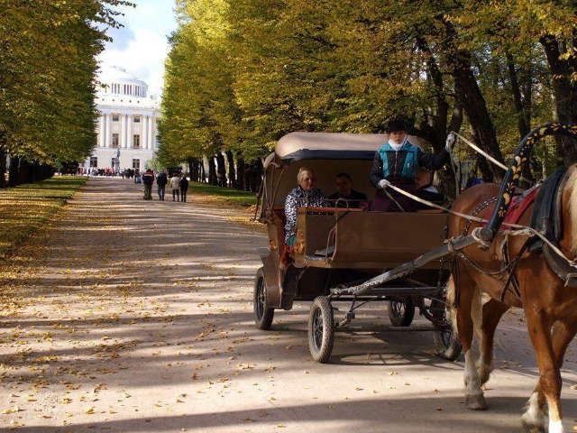 Павловск — загородная резиденция Павла I — фото 3