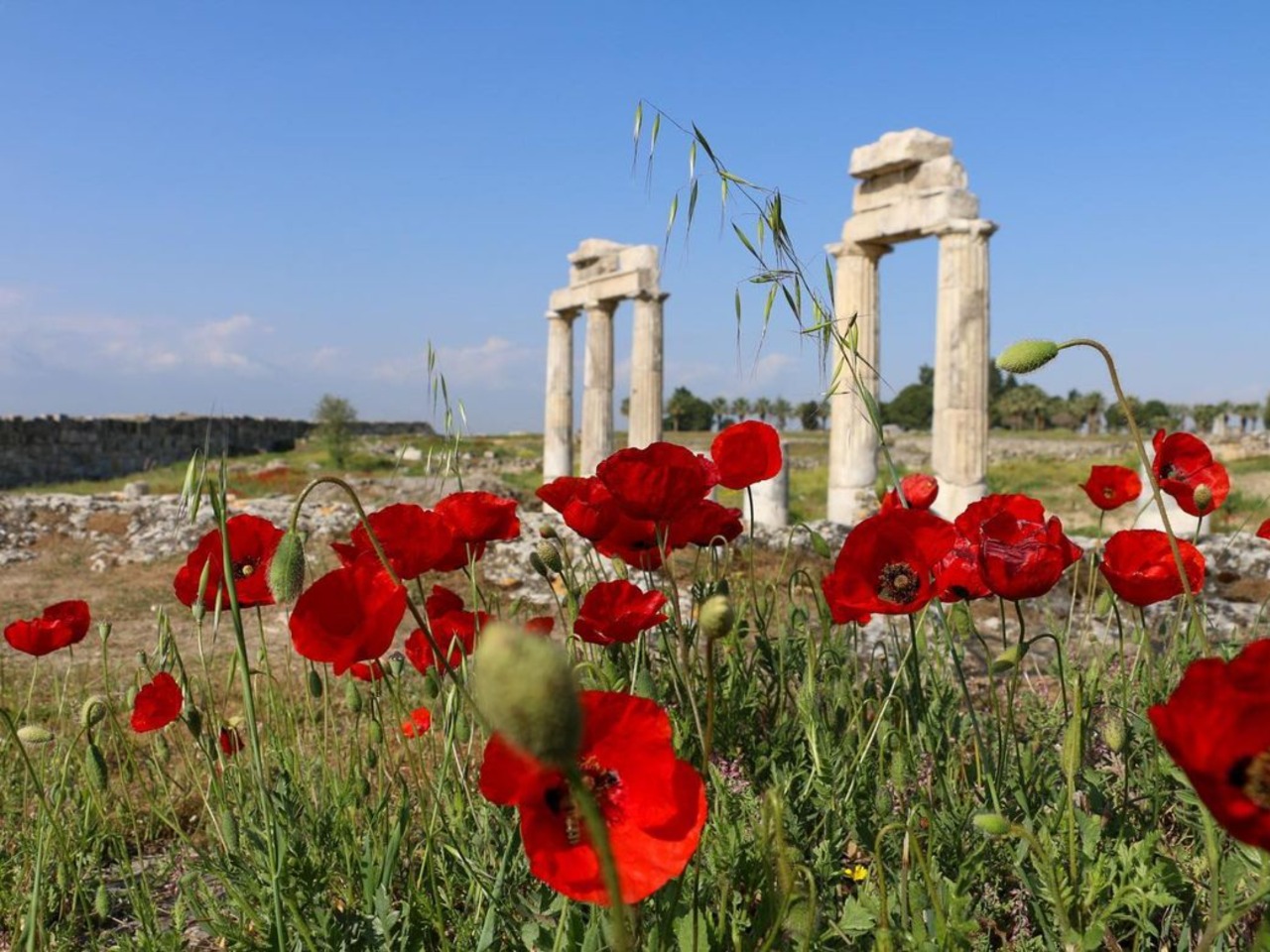 Экскурсия из Анталии в Памуккале и античный город Иераполис - групповая экскурсия в Анталии на автобусе длительностью более 12 часов с количеством участников более 20 человек цена экскурсии 47€