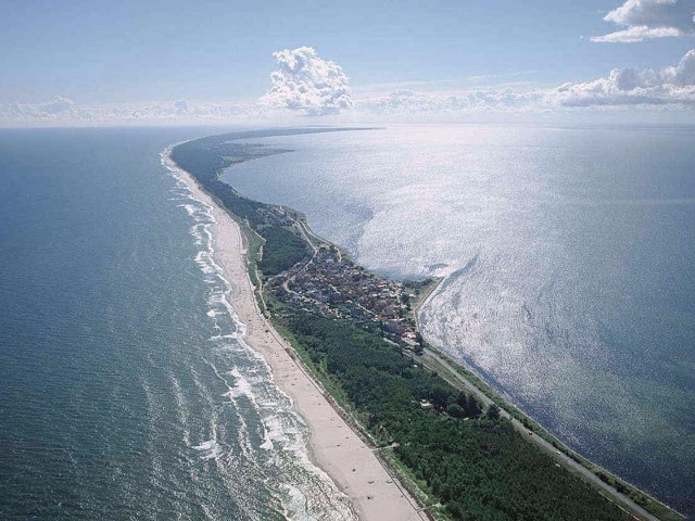 Ботаническая прогулка "Куршская коса+Зеленоградск" — фото 3