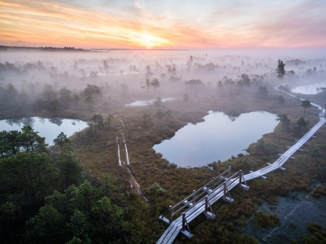 Индивидуальный тур из Риги в Кемерский нацпарк и курорты — фото 3