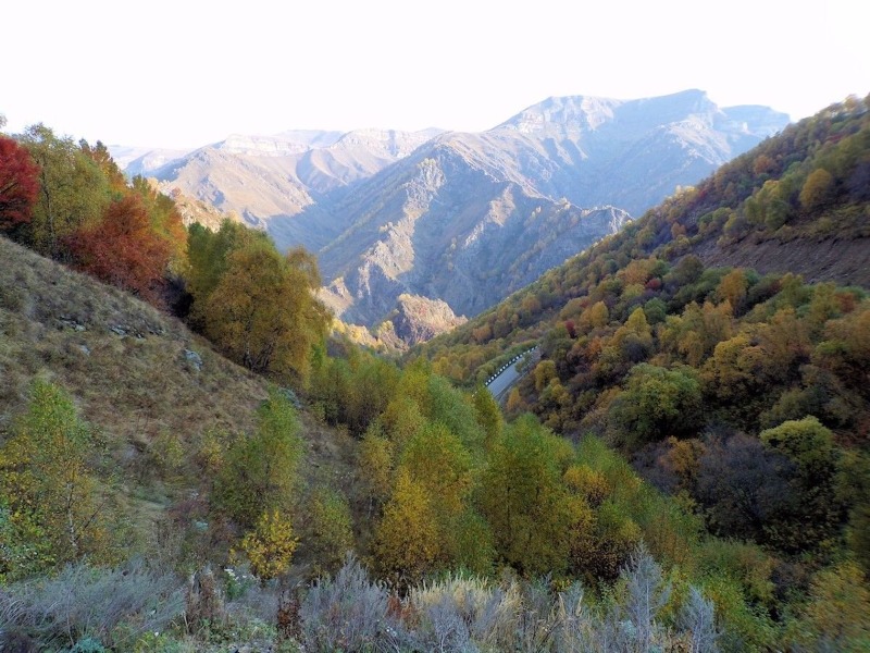 Заповедная долина 