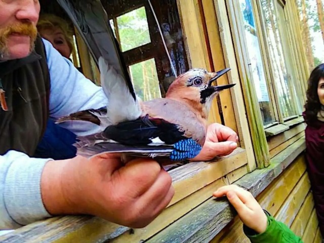Экскурсия из Светлогорска на Куршскую Косу для детей и взрослых — фото 3