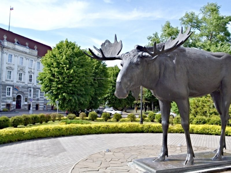 Лось