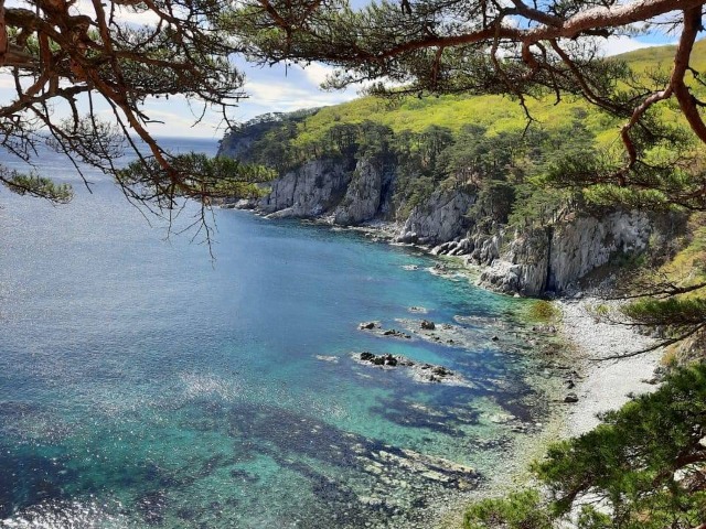 Полуостров Гамова в Хасанском районе (село Витязь) — фото 3