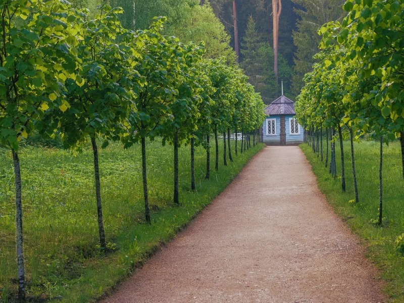 Индивидуальная экскурсия из Пскова в Пушкинские Горы - индивидуальная экскурсия в Пскове на машине гостей длительностью 10 часов с количеством участников до 20 человек цена экскурсии 18900₽