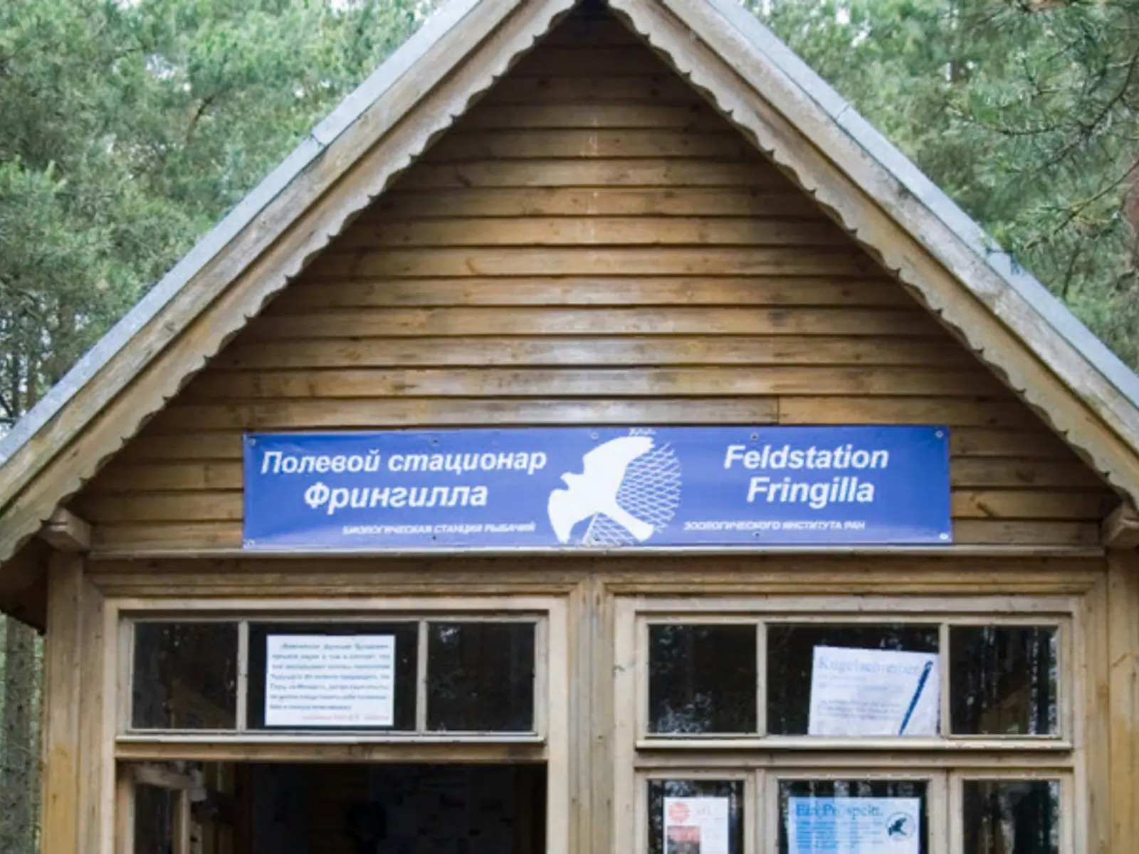 Станция Фрингилла guidego.ru