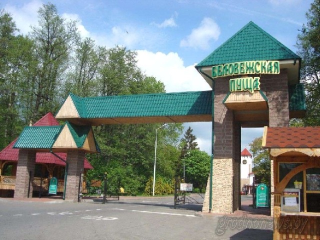 Экскурсия из Минска в Беловежскую пущу — фото 2