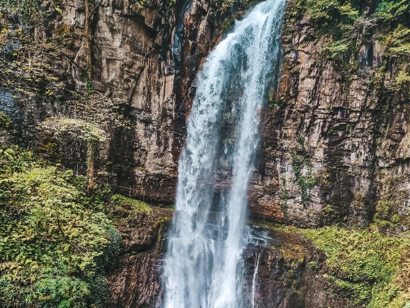 На экскурсии guidego.ru
