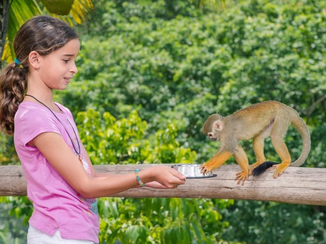 Обзорная экскурсия в парк Monkey jungle и замок Короля мира — фото 2