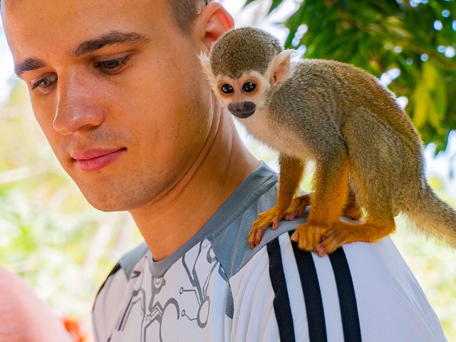 Обзорная экскурсия в парк Monkey jungle и замок Короля мира — фото 3