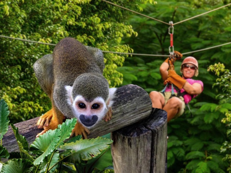 Обзорная экскурсия в парк Monkey jungle и замок Короля мира - индивидуальная экскурсия в Пуэрто-Плате на машине гида длительностью 5 часов с количеством участников до 4 человек со скидкой 20% цена экскурсии 160€