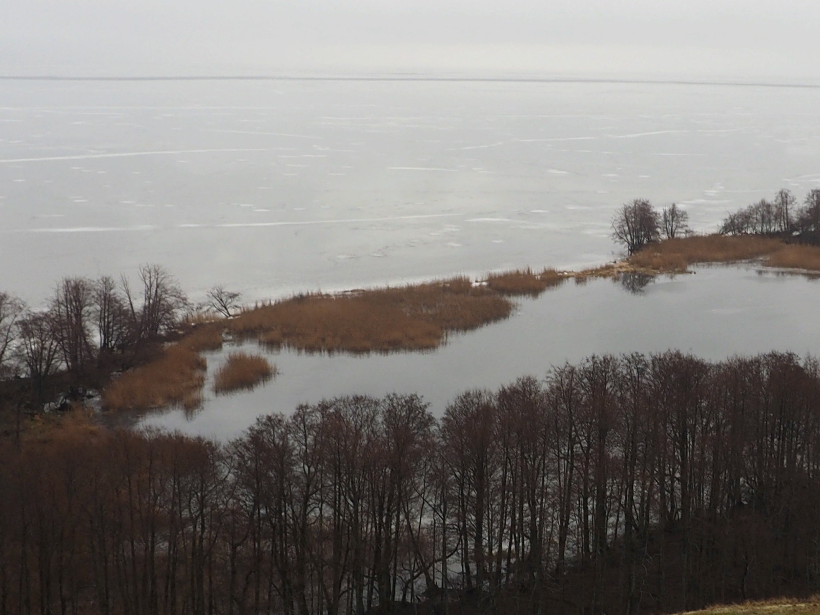 Уникальное озеро Лебедь  