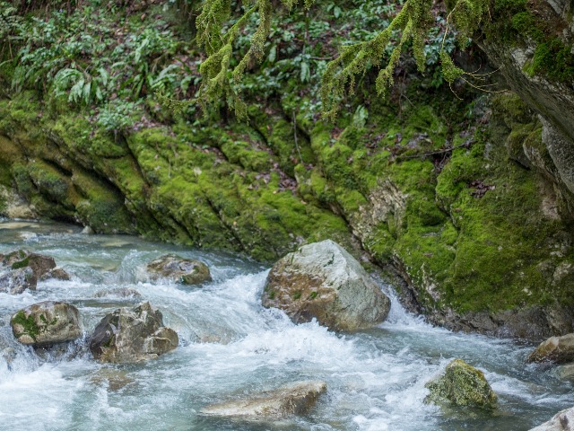 Ущелья и водопады по дороге на Красную Поляну — фото 3