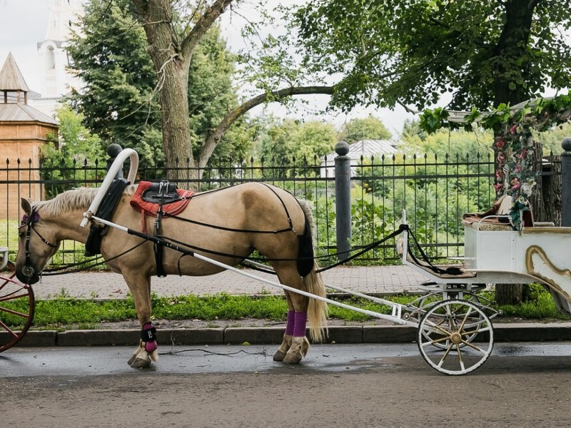 Очарование старины  