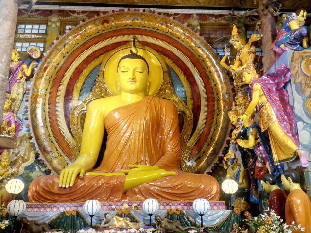 Индивидуальная экскурсия на чайные плантации с посещением Коломбо — фото 3