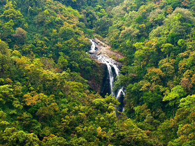 Дождевой лес Синхараджа — ланкийское сокровище