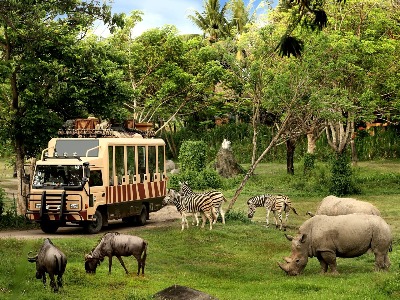 Bali Safari and Marine Park для любителей природы