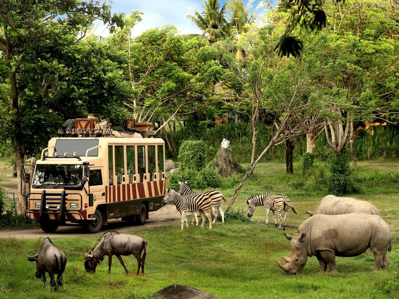 Групповая обзорная экскурсия в Safari and Marine Park на Бали - групповая экскурсия на Бали на машине гида длительностью 7 часов с количеством участников до 11 человек цена экскурсии 115$